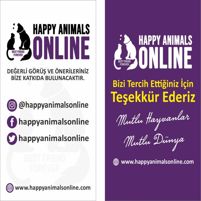 izmir büyük kartvizit ince kalın kartvizit fiyatları kartvizit yaptır izmir kartvizitçi matbaa