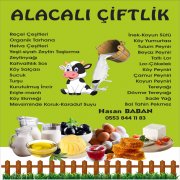 izmir broşür baskı    broşür bastır broşür yaptır broşür tasarım dağıtım