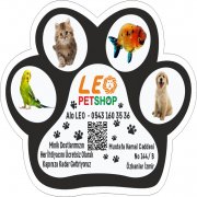 izmir petshop magnet yaptır pati magnetleri