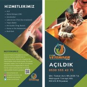 izmir veteriner broşür